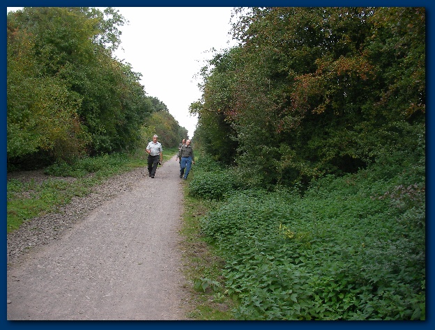 600x449 pixels (180K)